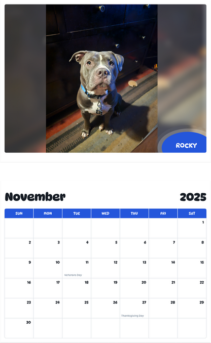 July 2025 - June 2026 Rocky - Pawidols Pet Calendar