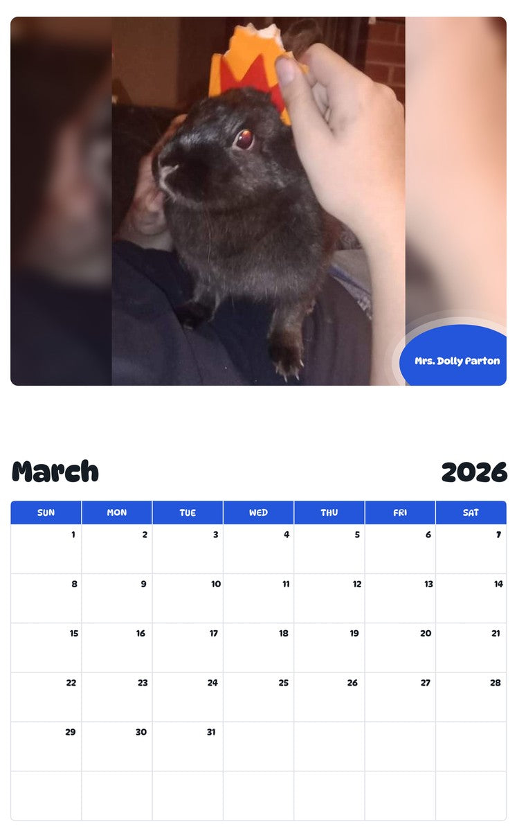 November 2025 - October 2026 Mrs. Dolly Parton - Pawidols Pet Calendar