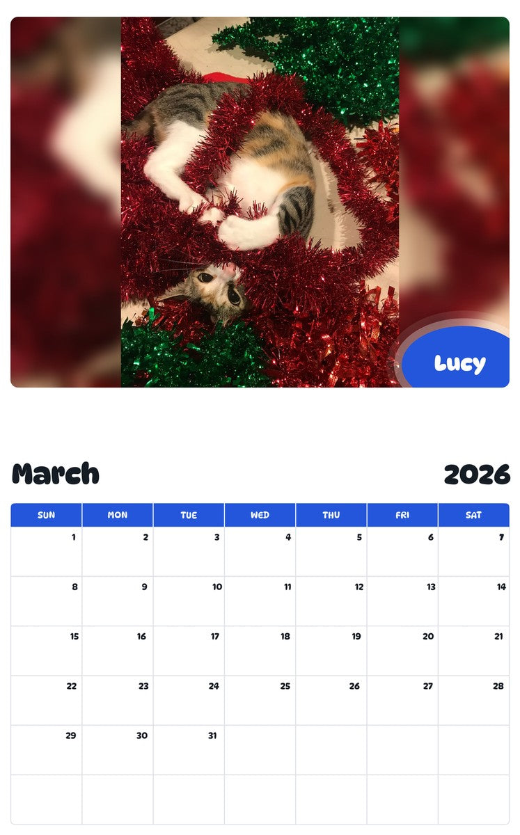 November 2025 - October 2026 Lucy - Pawidols Pet Calendar