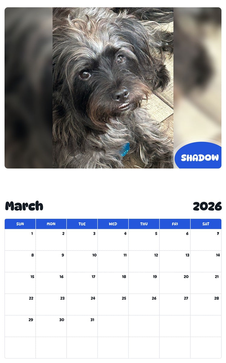 November 2025 - October 2026 SHADOW - Pawidols Pet Calendar
