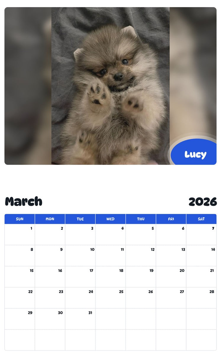 November 2025 - October 2026 Lucy - Pawidols Pet Calendar