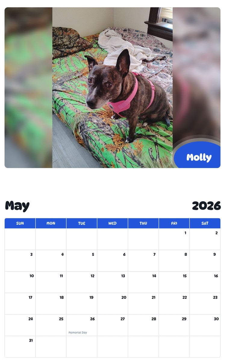 2026 - 2027 Molly - Pawidols Pet Calendar