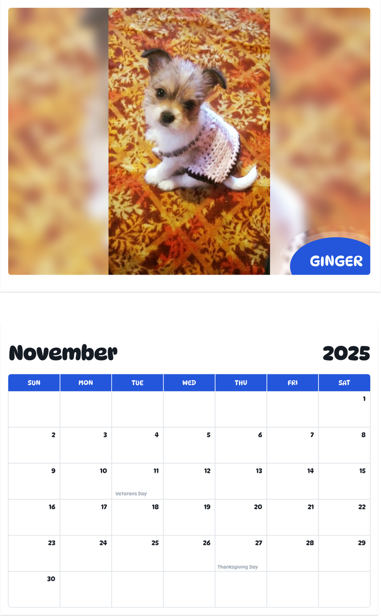 July 2025 - June 2026 Ginger - Pawidols Pet Calendar