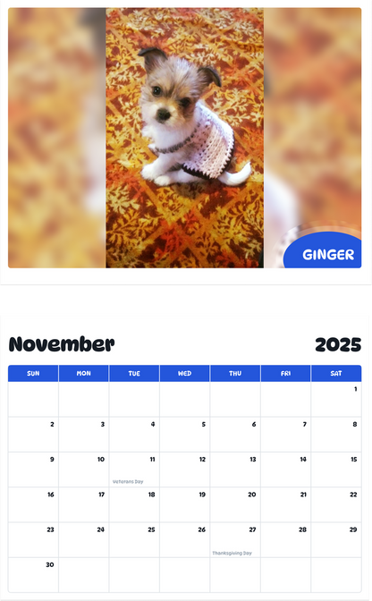 July 2025 - June 2026 Ginger - Pawidols Pet Calendar