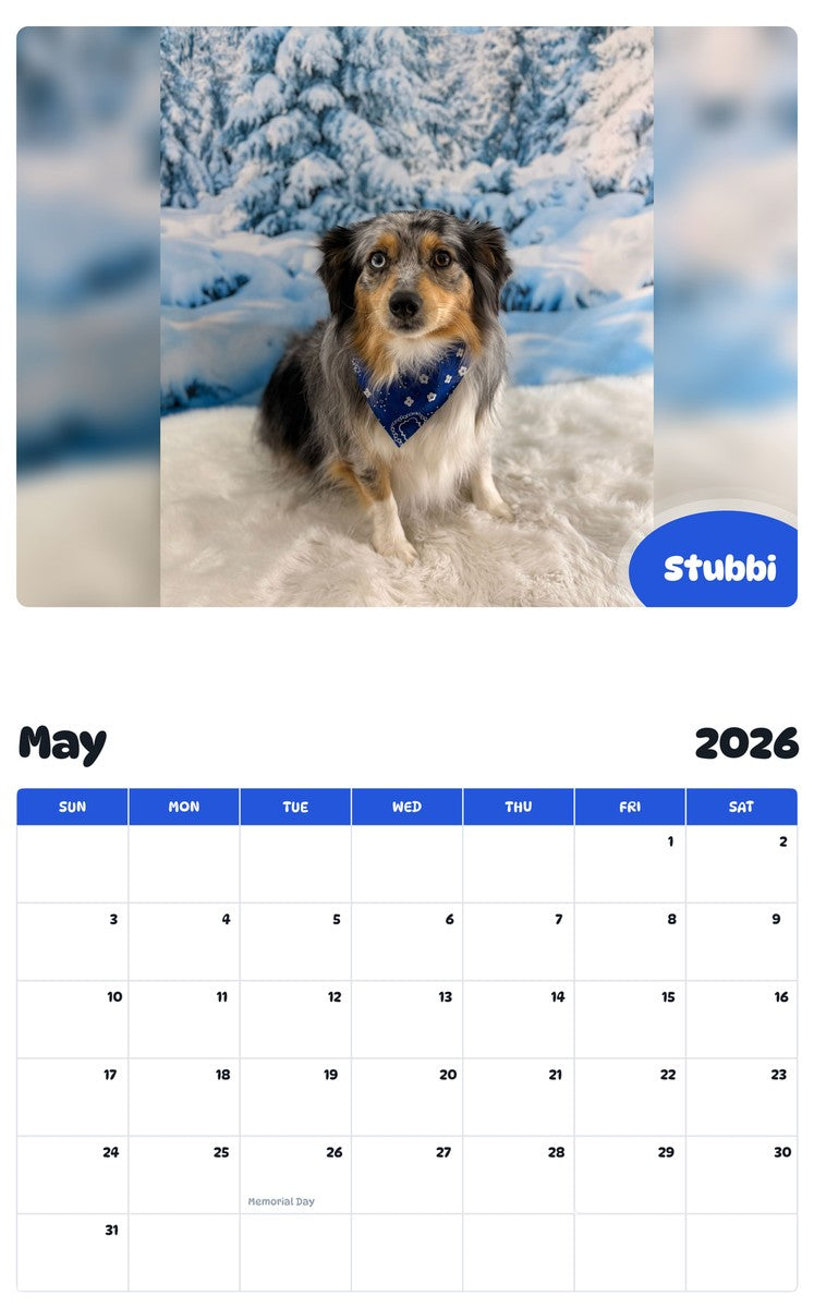 2026 - 2027 Stubbi - Pawidols Pet Calendar