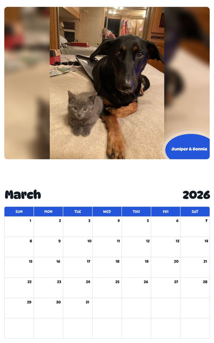 November 2025 - October 2026 Juniper & Bonnie - Pawidols Pet Calendar
