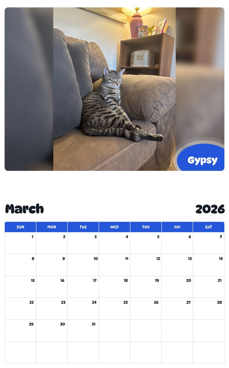 November 2025 - October 2026 Gypsy - Pawidols Pet Calendar