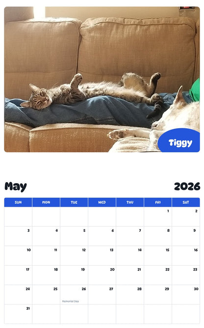 2026 - 2027 Tiggy - Pawidols Pet Calendar