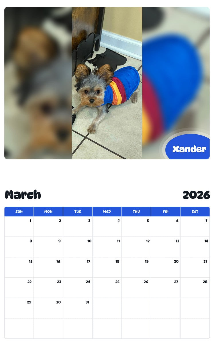 November 2025 - October 2026 Xander - Pawidols Pet Calendar