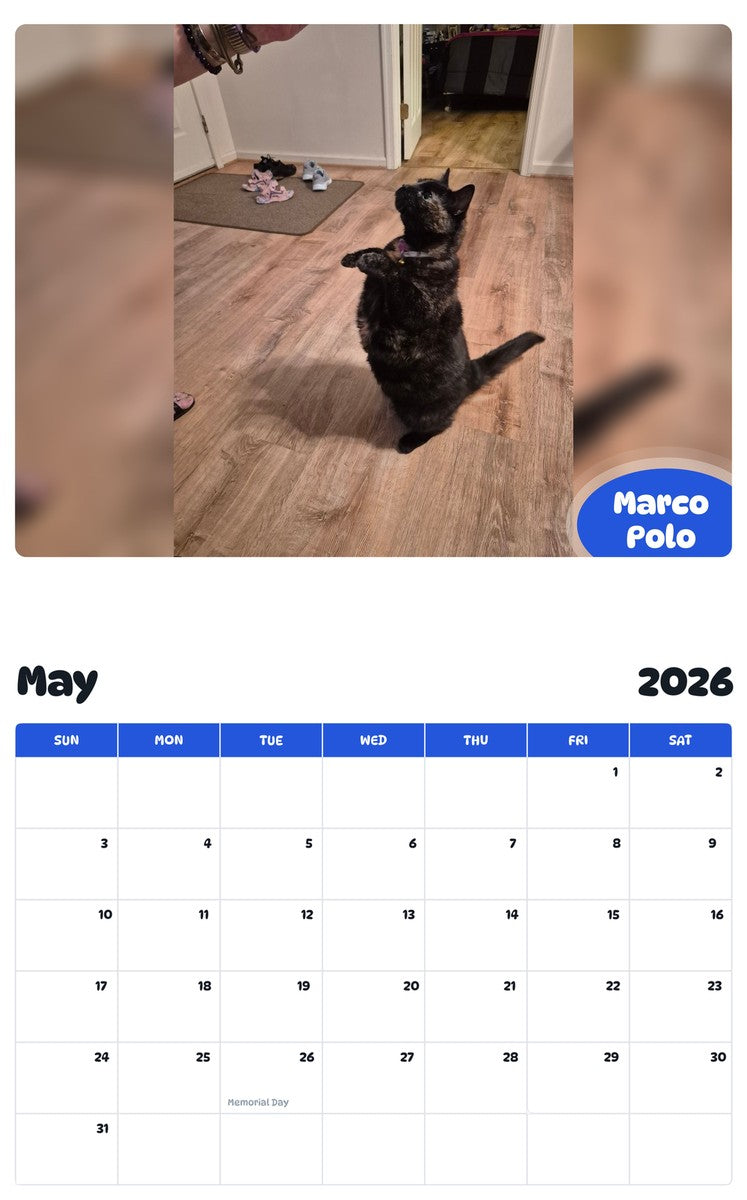 2026 - 2027 Marco Polo - Pawidols Pet Calendar