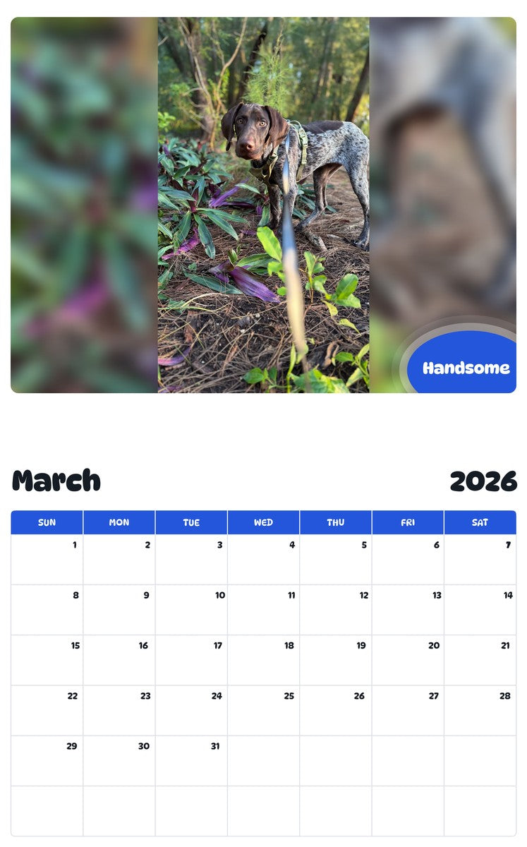 November 2025 - October 2026 Handsome - Pawidols Pet Calendar