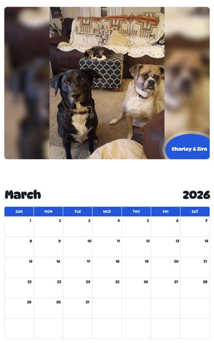 November 2025 - October 2026 Charley & Zira - Pawidols Pet Calendar