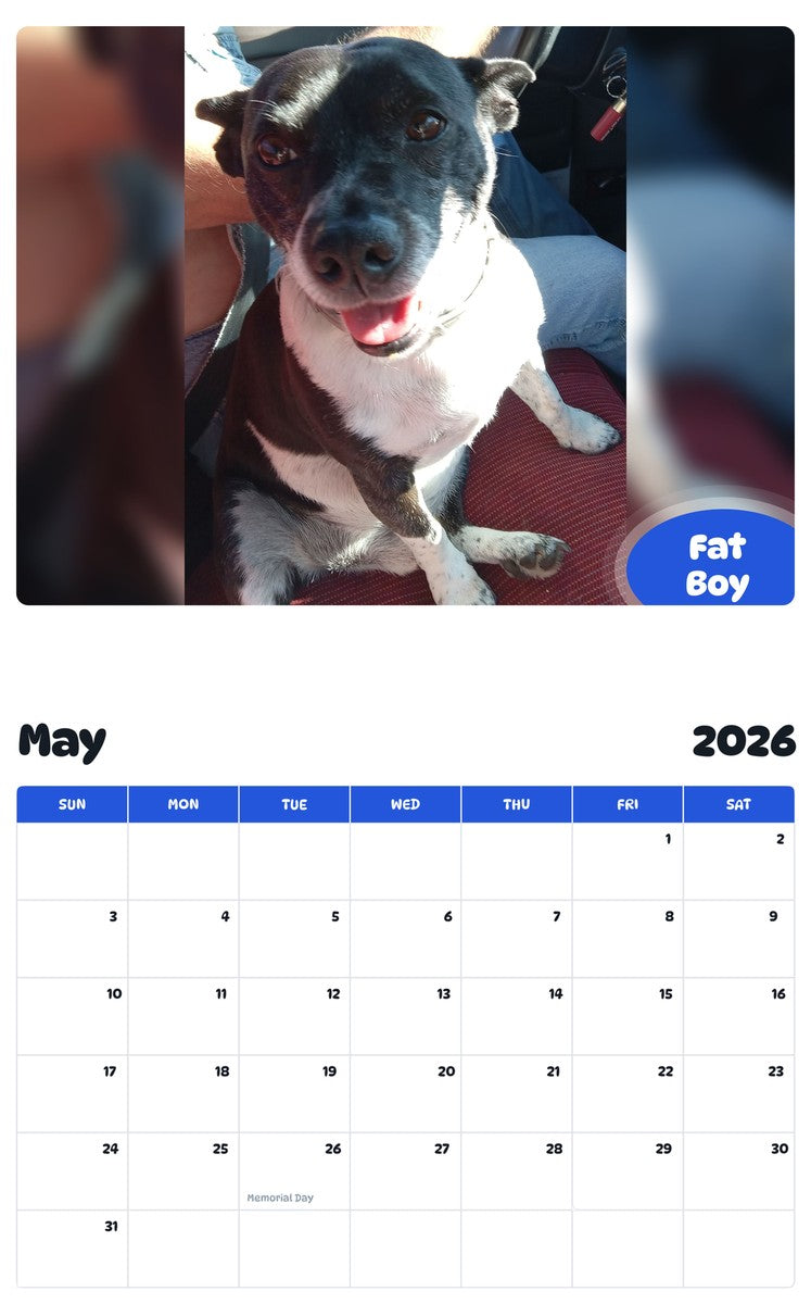 2026 - 2027 Fat Boy - Pawidols Pet Calendar