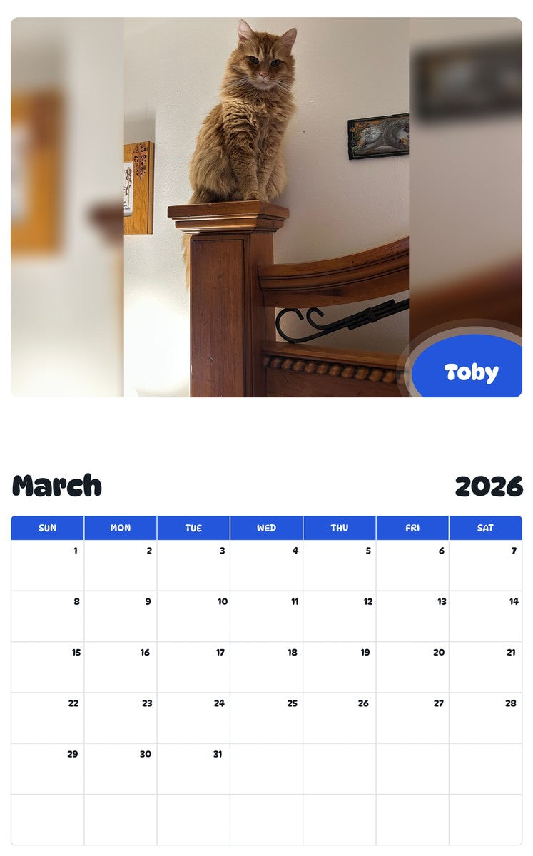 November 2025 - October 2026 Toby - Pawidols Pet Calendar