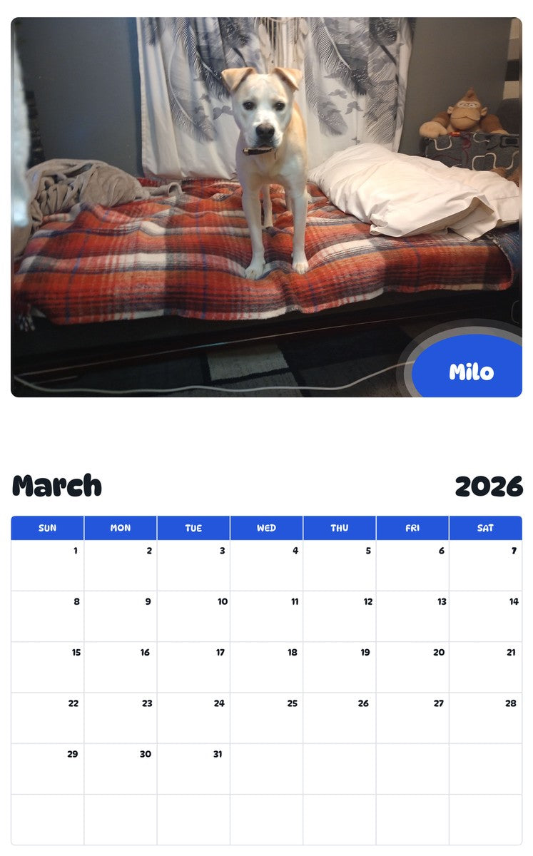November 2025 - October 2026 Milo - Pawidols Pet Calendar