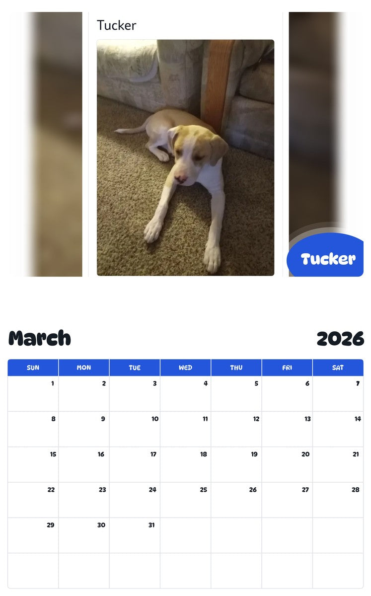 November 2025 - October 2026 Tucker - Pawidols Pet Calendar