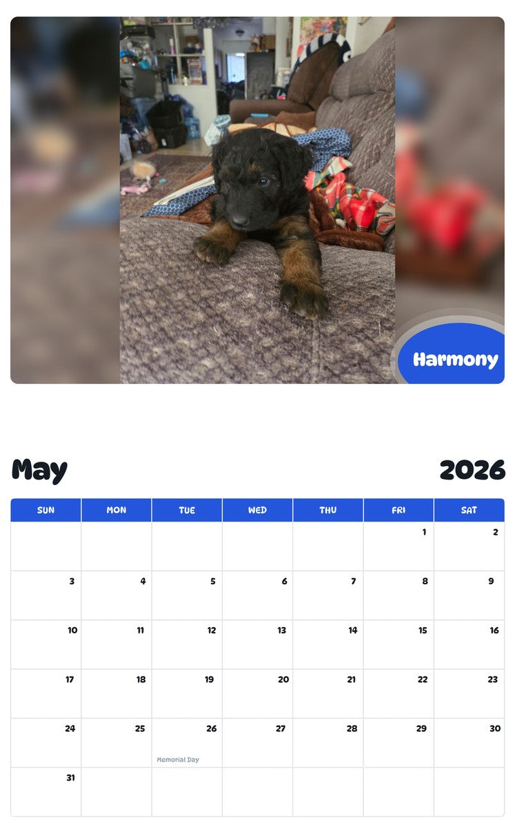 2026 - 2027 Harmony - Pawidols Pet Calendar