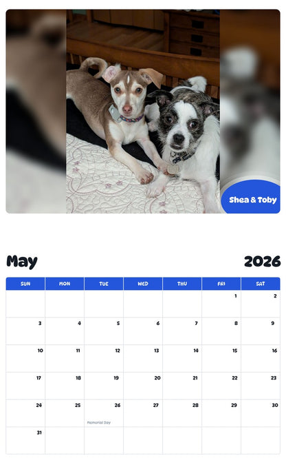 2026 - 2027 Shea & Toby - Pawidols Pet Calendar