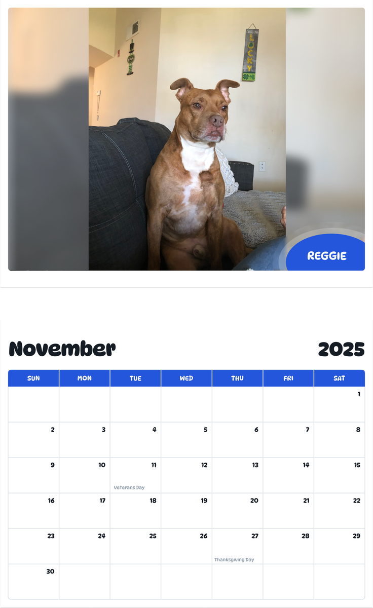 July 2025 - June 2026 Reggie - Pawidols Pet Calendar