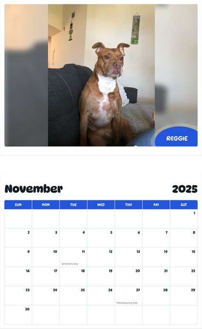 July 2025 - June 2026 Reggie - Pawidols Pet Calendar
