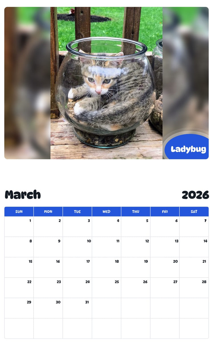 November 2025 - October 2026 Ladybug - Pawidols Pet Calendar