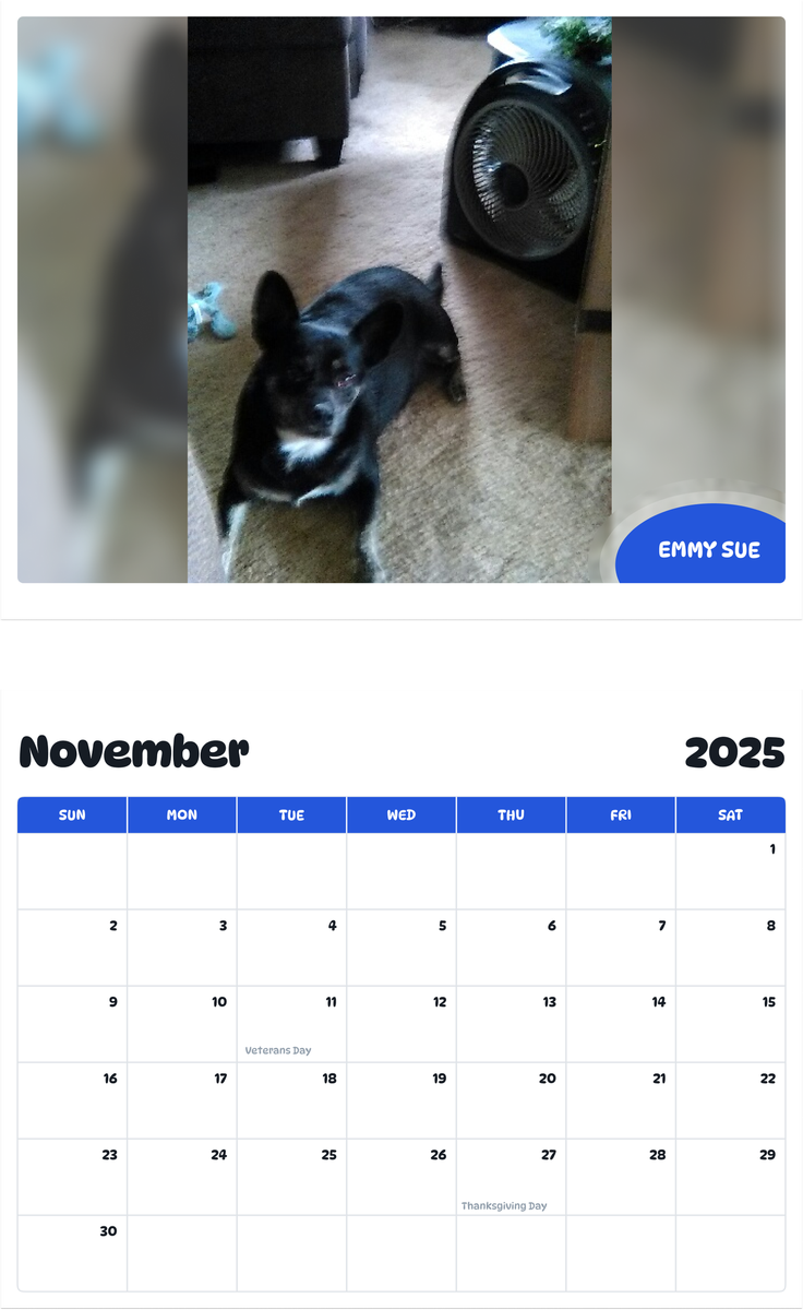 July 2025 - June 2026 Emmy Sue - Pawidols Pet Calendar