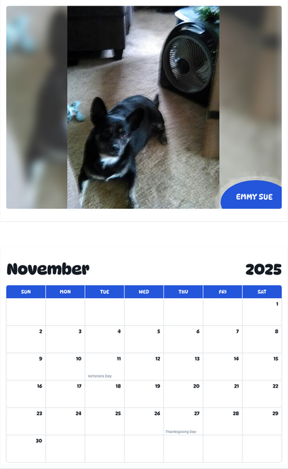 July 2025 - June 2026 Emmy Sue - Pawidols Pet Calendar