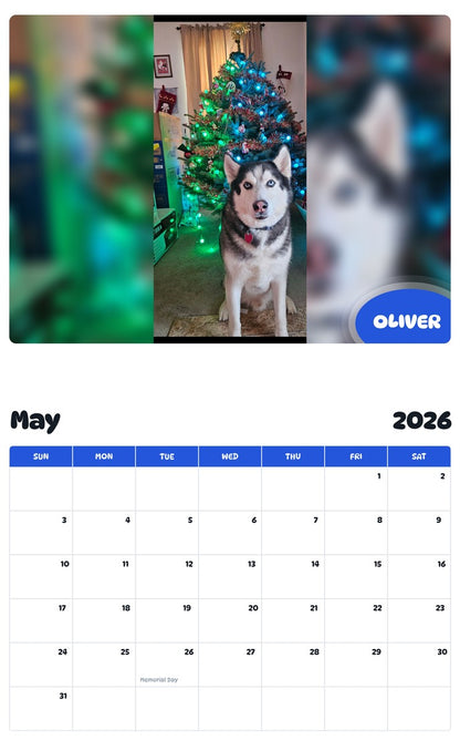 2026 - 2027 OLIVER - Pawidols Pet Calendar