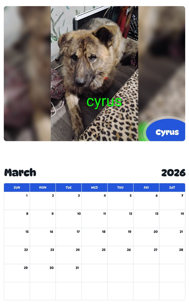 November 2025 - October 2026 Cyrus - Pawidols Pet Calendar