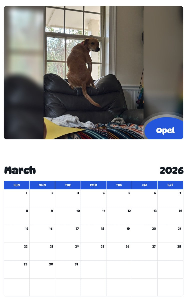 November 2025 - October 2026 Opel - Pawidols Pet Calendar