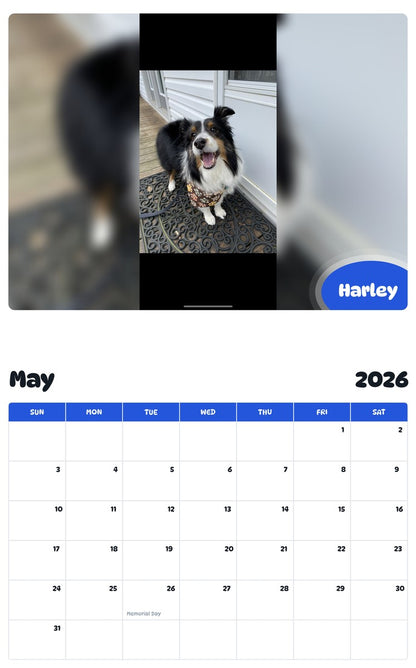 2026 - 2027 Harley - Pawidols Pet Calendar