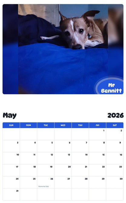 2026 - 2027 Mr Bennitt - Pawidols Pet Calendar