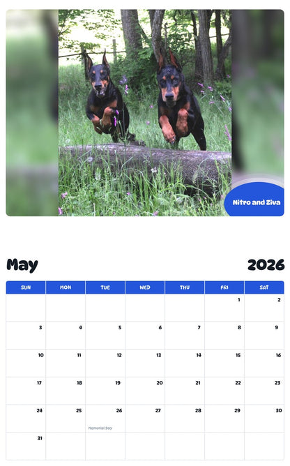 2026 - 2027 Nitro and Ziva - Pawidols Pet Calendar