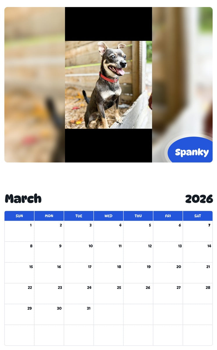 November 2025 - October 2026 Spanky - Pawidols Pet Calendar