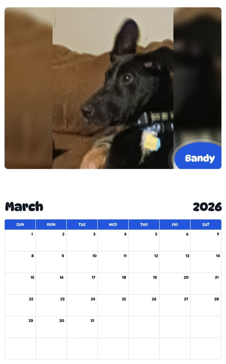 November 2025 - October 2026 Bandy - Pawidols Pet Calendar