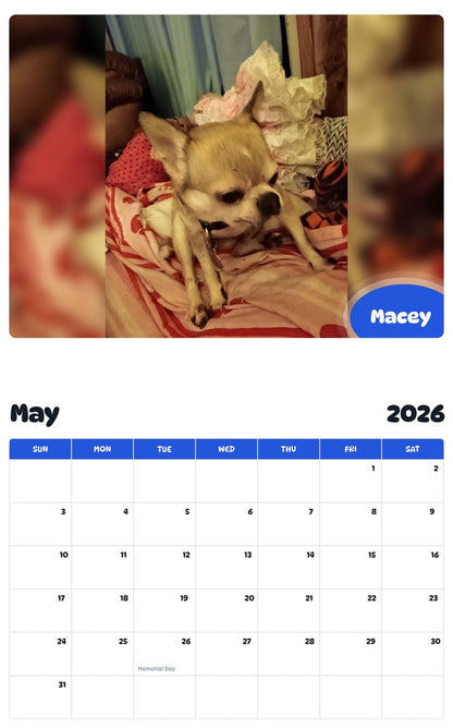 2026 - 2027 Macey - Pawidols Pet Calendar