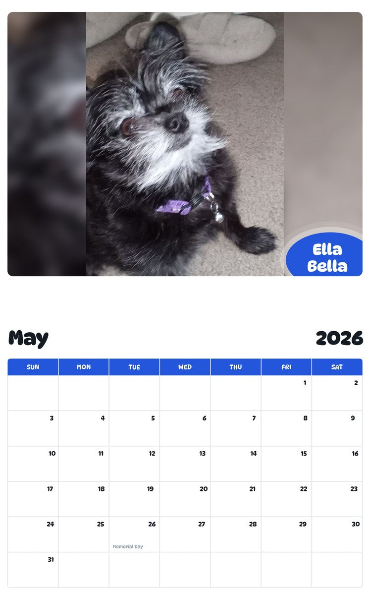 2026 - 2027 Ella Bella - Pawidols Pet Calendar