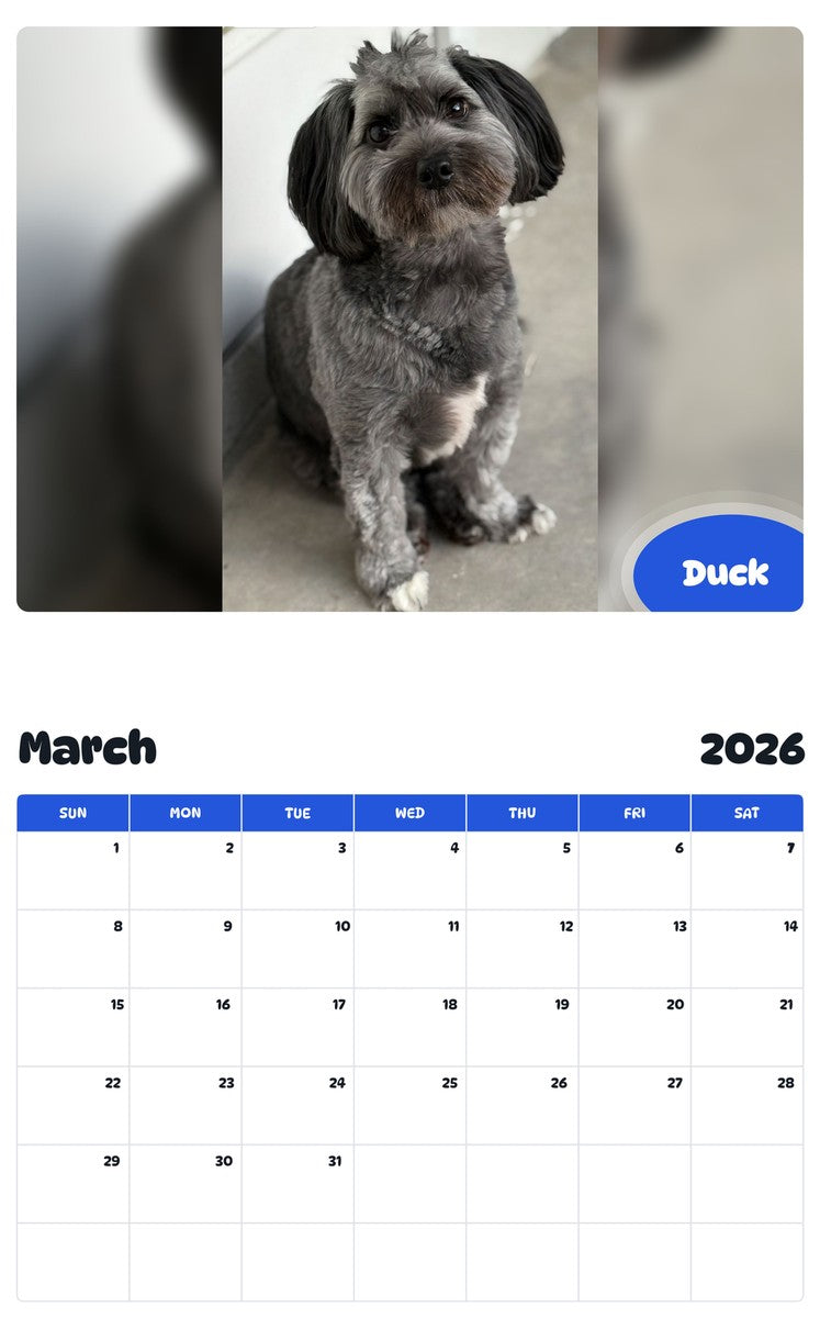 November 2025 - October 2026 Duck - Pawidols Pet Calendar
