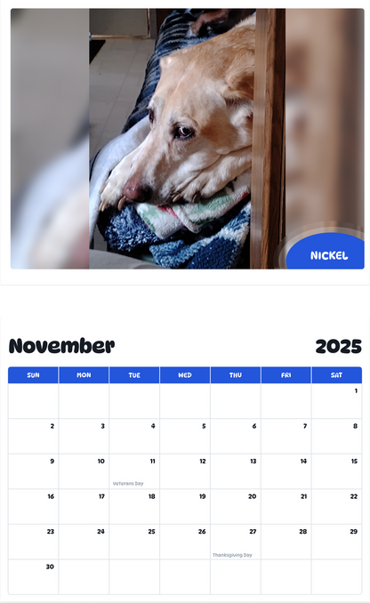 July 2025 - June 2026 Nickel - Pawidols Pet Calendar