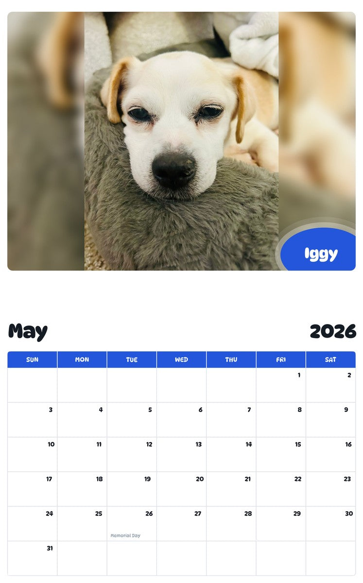 2026 - 2027 Iggy - Pawidols Pet Calendar