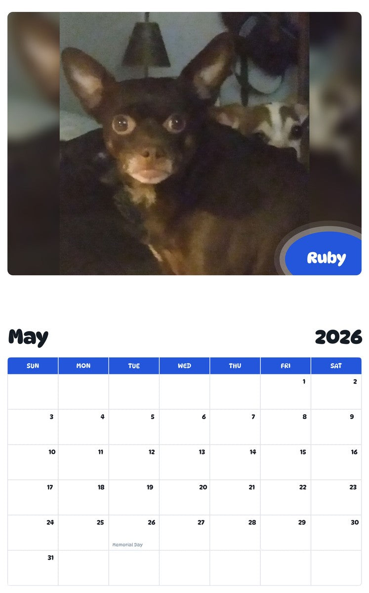 2026 - 2027 Ruby - Pawidols Pet Calendar