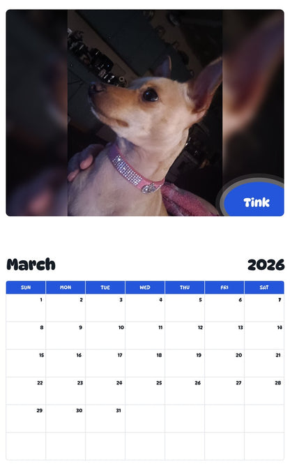 November 2025 - October 2026 Tink - Pawidols Pet Calendar