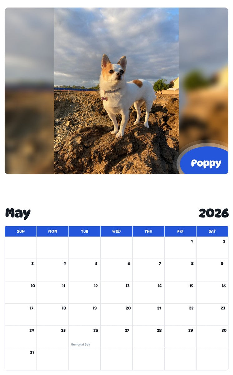 2026 - 2027 Poppy - Pawidols Pet Calendar