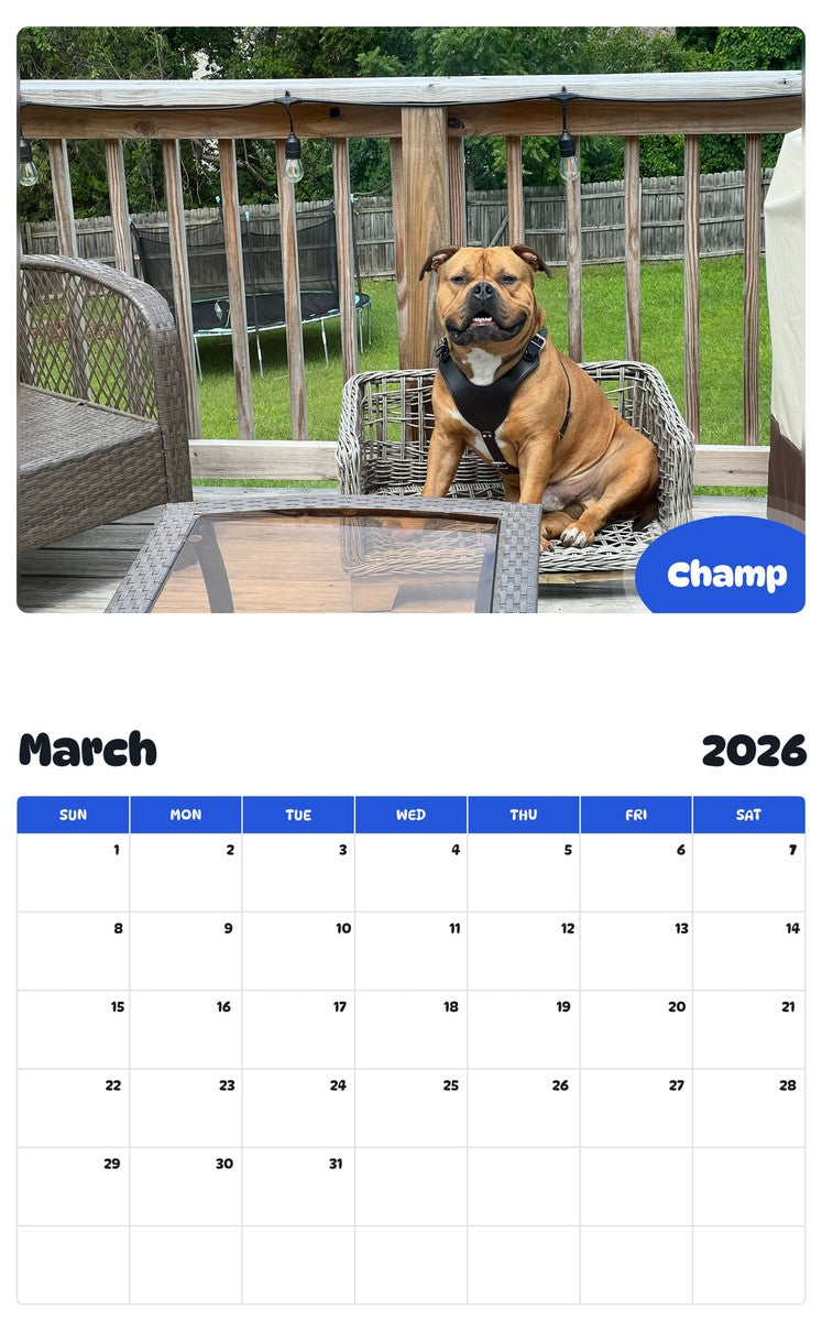 November 2025 - October 2026 Champ - Pawidols Pet Calendar