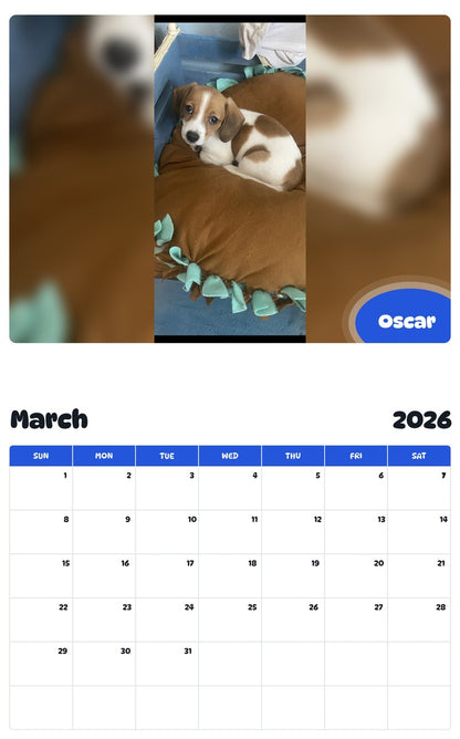 November 2025 - October 2026 Oscar - Pawidols Pet Calendar
