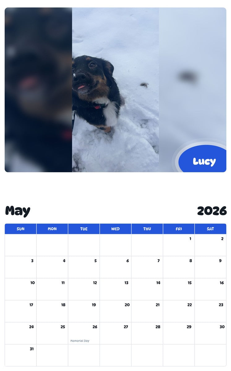 2026 - 2027 Lucy - Pawidols Pet Calendar