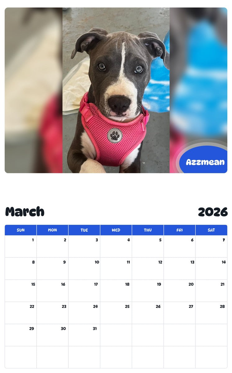 November 2025 - October 2026 Azzmean - Pawidols Pet Calendar
