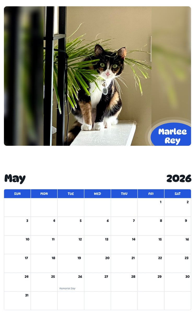 2026 - 2027 Marlee Rey - Pawidols Pet Calendar
