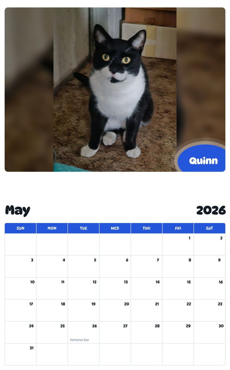 2026 - 2027 Quinn - Pawidols Pet Calendar