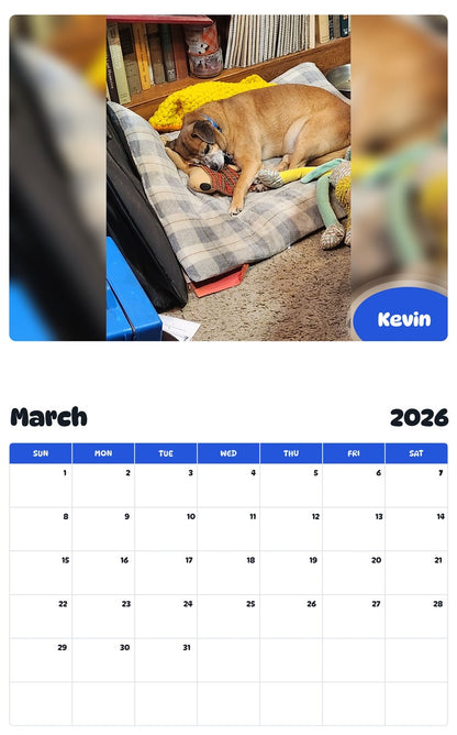 November 2025 - October 2026 Kevin - Pawidols Pet Calendar